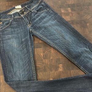 Hudson Jeans Dark Blue Skinny Denim